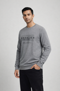 Men’s Grey Printed Sweatshirt